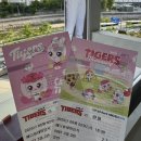 광주113 | 광주 기아챔피언스필드 1루 K9 113블록 19열 &amp; 메디힐 테이블석 506T 3열 시야 후기