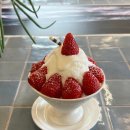 함덕스크린골프 | [제주] Day 4_에코랜드 호텔, 빙수 맛집 해무, 수선화식당 함덕점