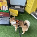순이다방 앞 이미지