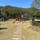 양평 랏지하우스 애견동반펜션 이미지