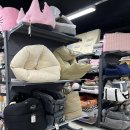 이츠펫 칠성점 이미지