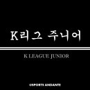 창녕아이비스프로축구단 | 한국 고교 축구를 대표하는 대회는 무엇일까 - 국내 고등학교 축구 대회 목록