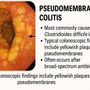 연세생명나무내과의원 이미지