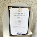 운정 숲 고양이호텔 네이버블로그