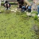 은광농장 이미지