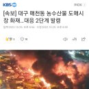 [속보] 대구 매천동 농수산물 도매시장 화재…대응 2단계 발령 이미지