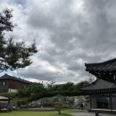 별하펜션 | 150평 잔디마당에 실내 바베큐장 노래방 다 있는 독채 한옥 별하한옥펜션 찐 내돈내산 후기(반려견 동반)
