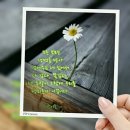 이지윤공인중개사사무소 이미지