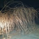 수양시장 이미지