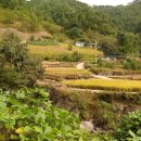 하늘솔황토민박 이미지