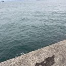 아라힐2 이미지