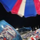 (주)수원클린모터스 | [2025 K리그2] 29R 서울이랜드FC vs 수원삼성블루윙즈 직관 후기 _ 감격의 클린시트