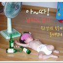 구산해수욕장 Daum카페