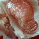 쇼핑은테라피 이미지