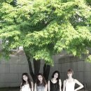 빅마마