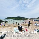 함덕돌핀레저 | 제주공항에서 함덕해수욕장 개장, 소노벨 제주 서우봉 해변 어때?