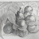 연필그림중급 이미지