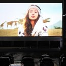 함평자동차극장 이미지