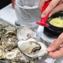 물반고기반 | 청주 석화찜 굴전 맛집 가경동 물반고기반 내돈내산 후기