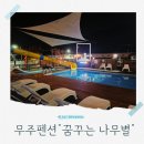 은행나무사거리3 | 무주 가족펜션 무주 수영장펜션 꿈꾸는 나무별 은행나무 객실 3대 가족 여행 후기