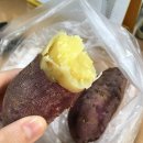 신해남농장 이미지