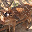 다인야영장 이미지