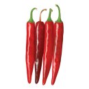 흥농종묘 이미지