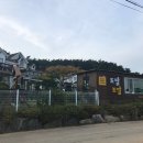 도담도담애견펜션 | [안면도] 애견동반펜션 도담도담 방문 후기&amp;자연산 대하,바베큐 _여행 1일차