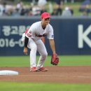 날자호랑이