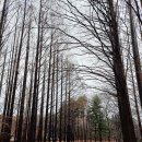 문화12길 이미지