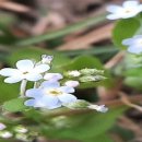 외국인 농부의 꿈 / 오안 김분조 이미지