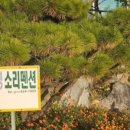 화도펜션 이미지