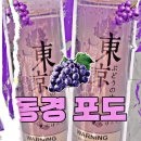 동경전자 이미지