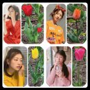 귀엽개 Daum카페