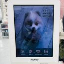 메리그루밍 이미지