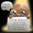 빛담안경 | [9월 1주차] 어떻게 9월 꽃말이 개강☄️