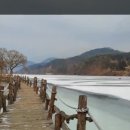 남이섬(추가) 이미지