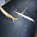 스카이정비 이미지