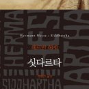 헤세의책방 이미지