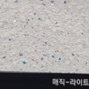 월드탄성 이미지