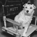 똥개언니 이미지