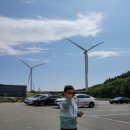 건호목장 | 강릉 여행/대관령 양떼목장 40개월 아이 먹이주기 체험하기/가격정보(⭐️예매 꿀팁) 체험 후기