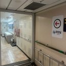 딩가딩 | [울릉도] ★울릉도 여행 총정리★ 울릉도 여행 배편 정보｜울릉크루즈 타본 리얼 후기