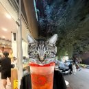 블틴