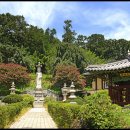 꽃피는 풍경 이미지