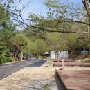 화양원탑캠핑장 | [충청북도 괴산군] 화양원탑오토캠핑장