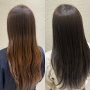 박선생 도그살롱 | 부천 상동 염색맛집 에이오디헤어 전체염색 후기