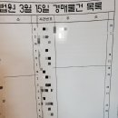 부동산 공경매(저녁) | 20대 첫 부동산 공경매 실강 후기 (부린이...?)