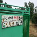 빈이네농장 이미지