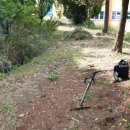 사천고등학교 이미지